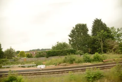 DSC_2523 (Large).JPG